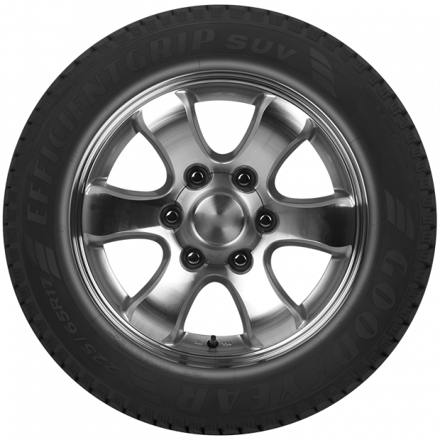 Goodyear EFFICIENTGRIP SUV 225/55R19 99V-2